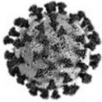 covid-virus3