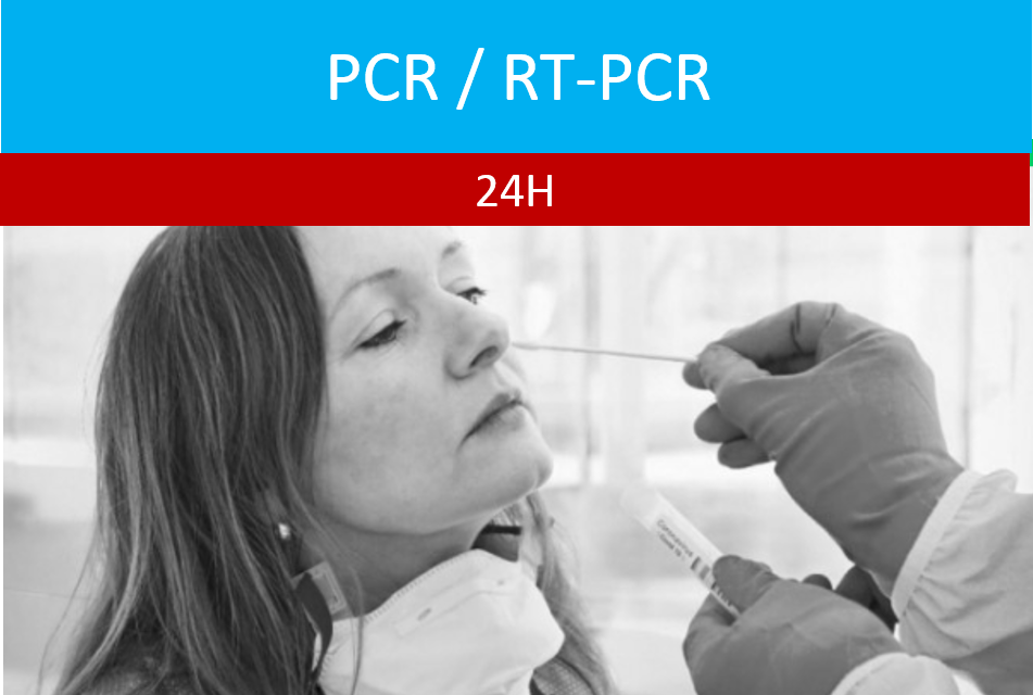 PCR 24H