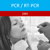 PCR 24H